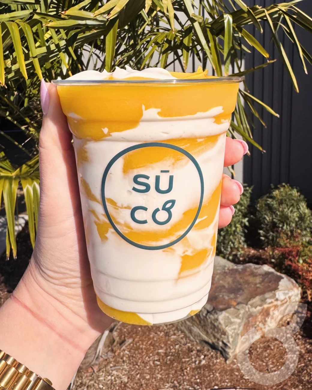 Sinaloa Sunset photographed at Sūco Café Express