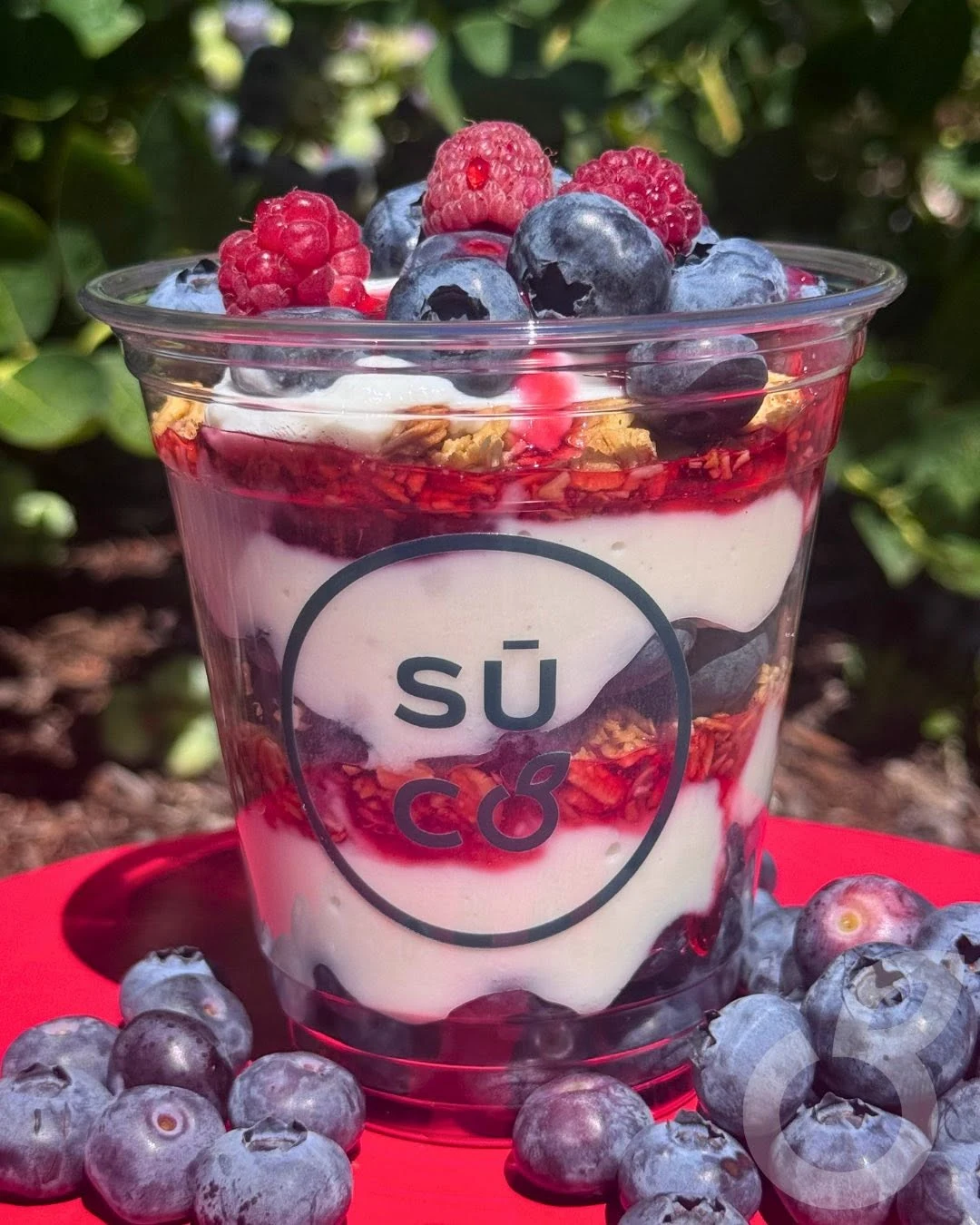Berry Patch Parfait — follow Suco on Facebook